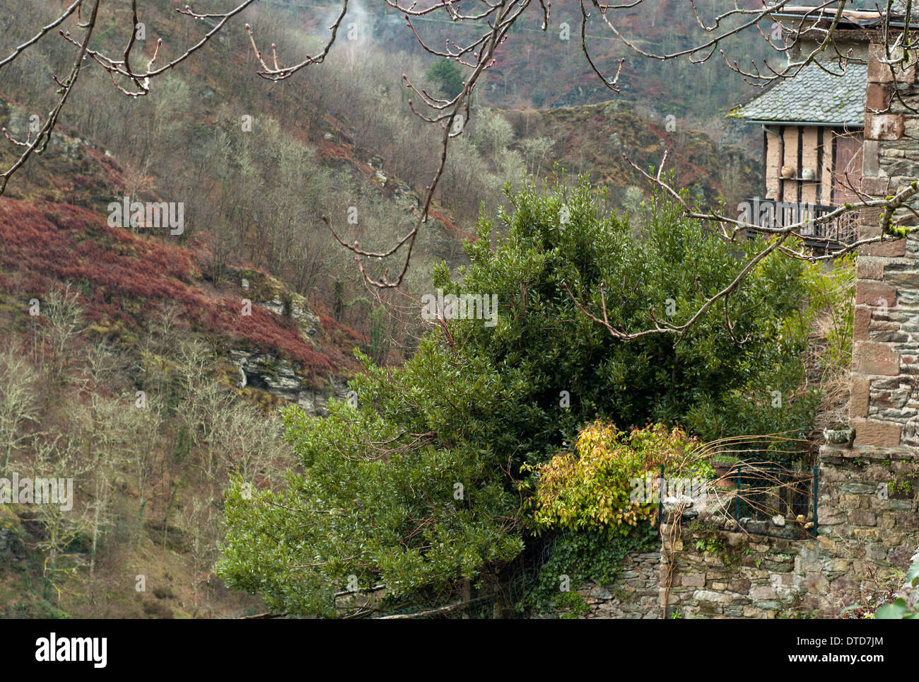 Vista del villaggio di Conques, Aveyron, Francia Foto Stock