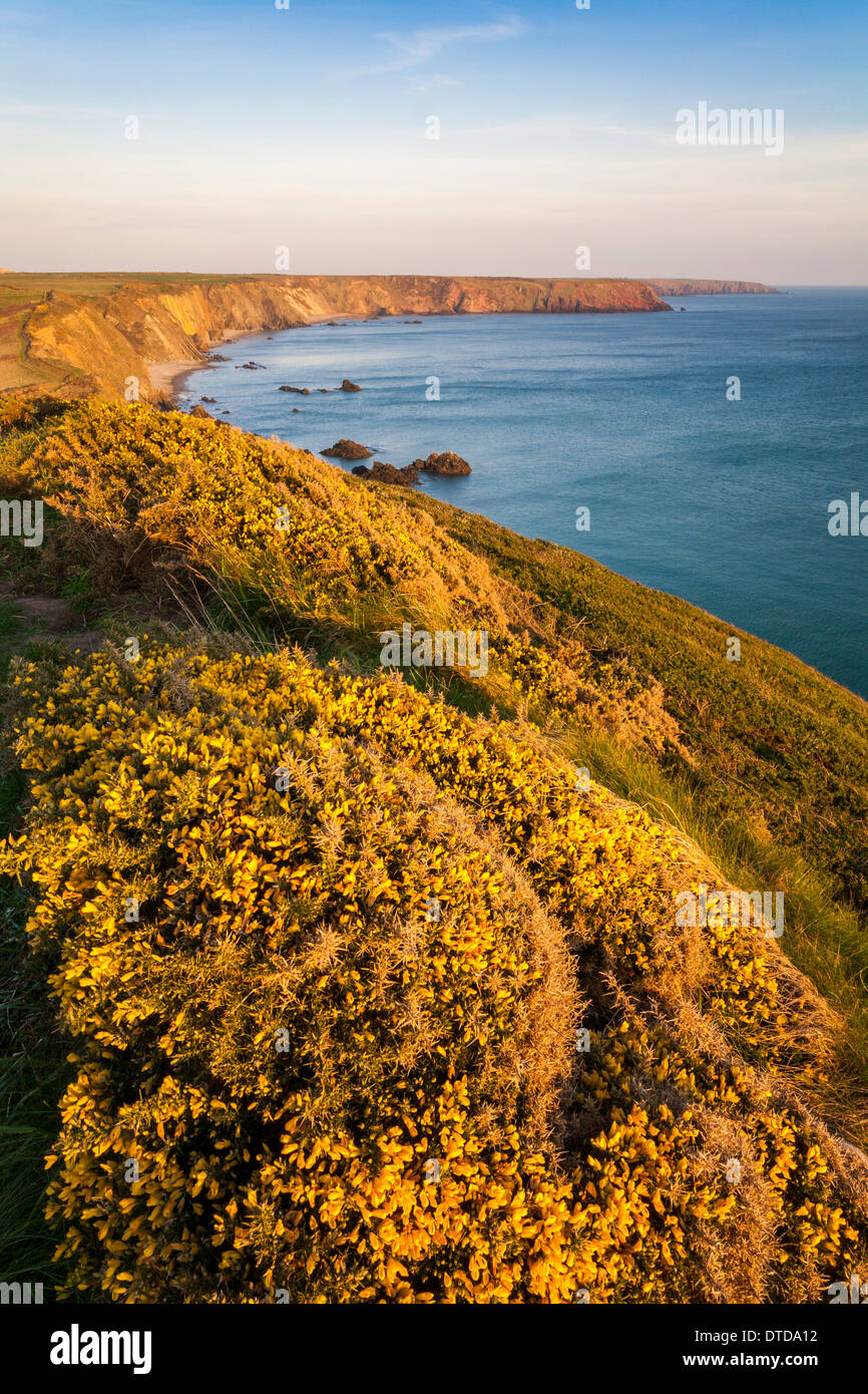 Marloes Sands Pembrokeshire Wales UK Foto Stock