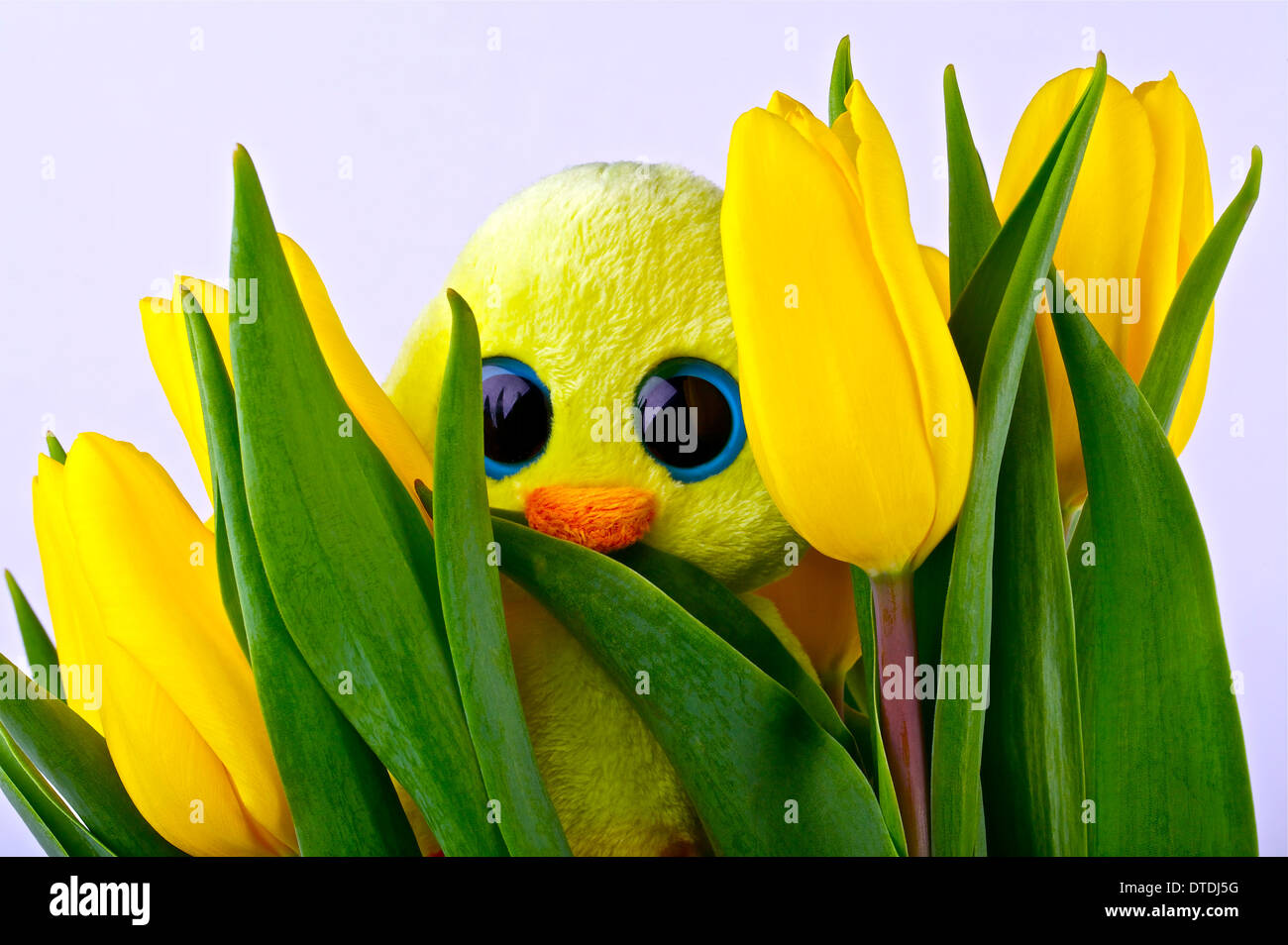 Decorazione di Pasqua,pollo giocattolo e tulipani gialli su sfondo chiaro Foto Stock