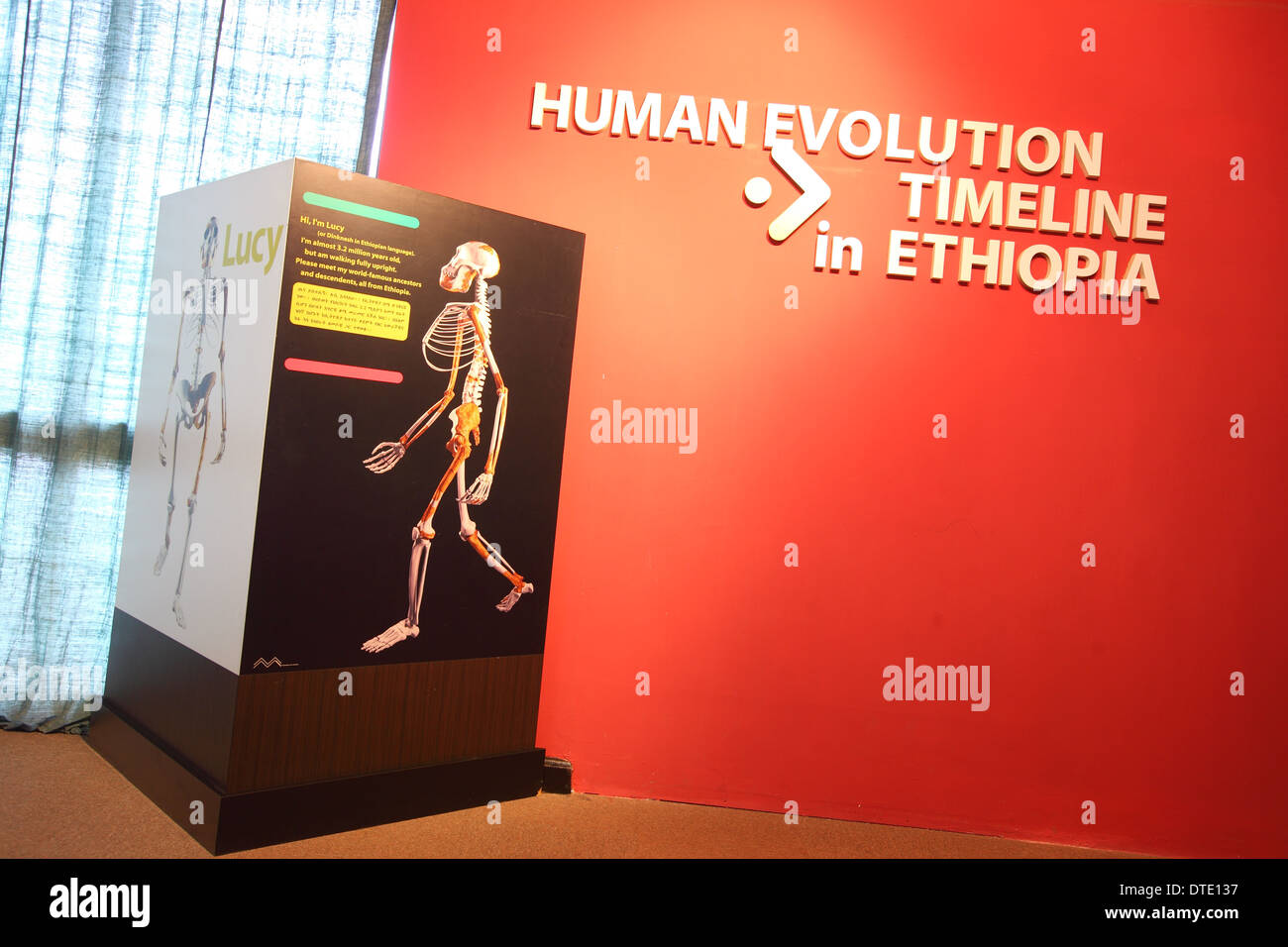 Lucy australopithecus afarensis immagini e fotografie stock ad alta