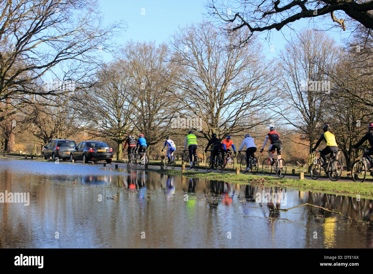 Richmond Park, Londra, Inghilterra, Regno Unito. Il 16 febbraio 2014. Il sole splendeva infine in gran parte del Regno Unito di oggi e le temperature hanno raggiunto un mite 10 gradi celsius. Il bel tempo ha portato centinaia di ciclisti a Richmond Park è un luogo famoso per i londinesi per arrivare sulle loro moto. La strada era ancora allagato in luoghi il parco dopo tutte le forti piogge, automobili e biciclette e negoziato con attenzione l'acqua. Foto Stock