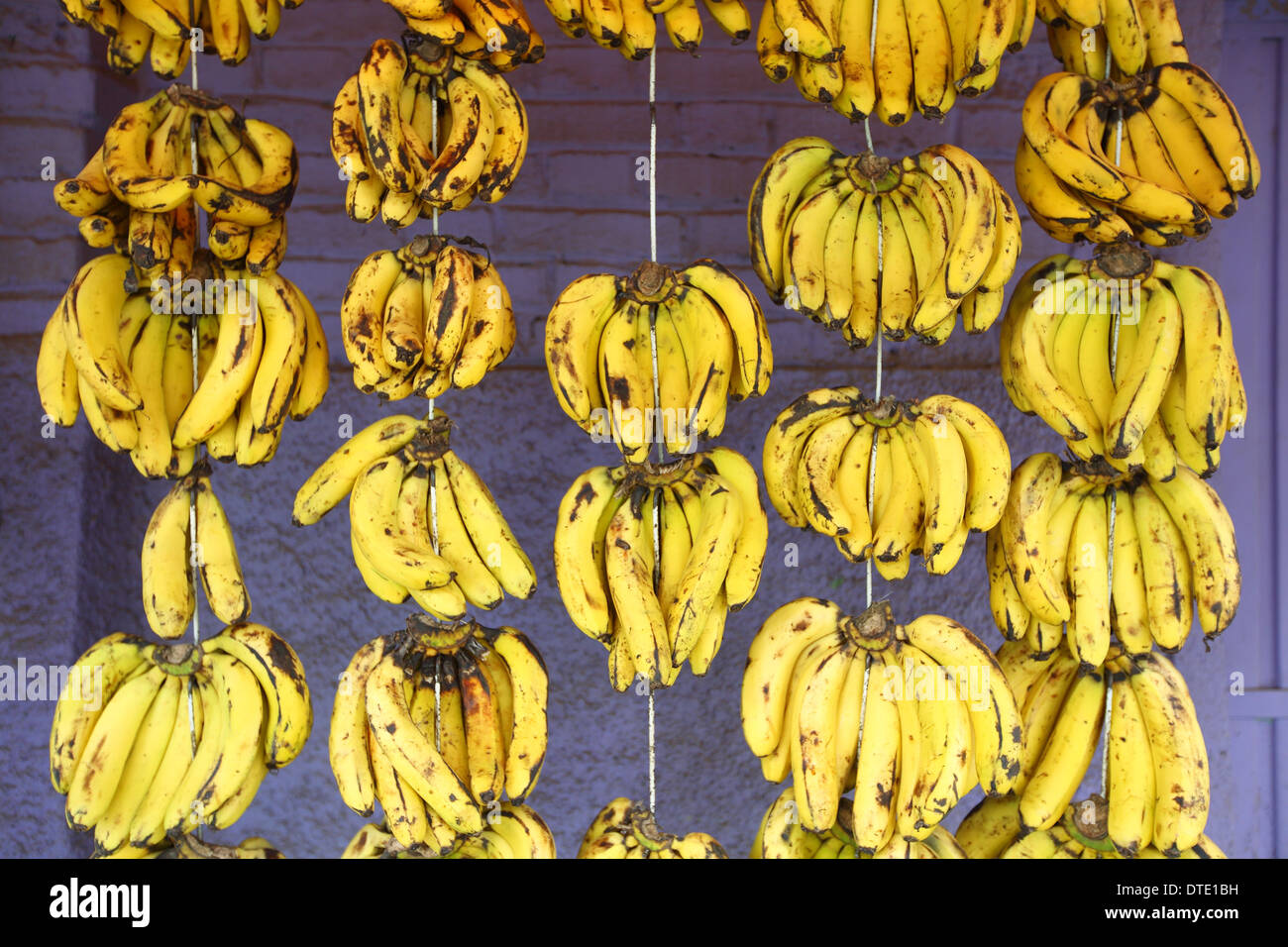 Addis Abeba, Etiopia, Africa, banane Foto Stock