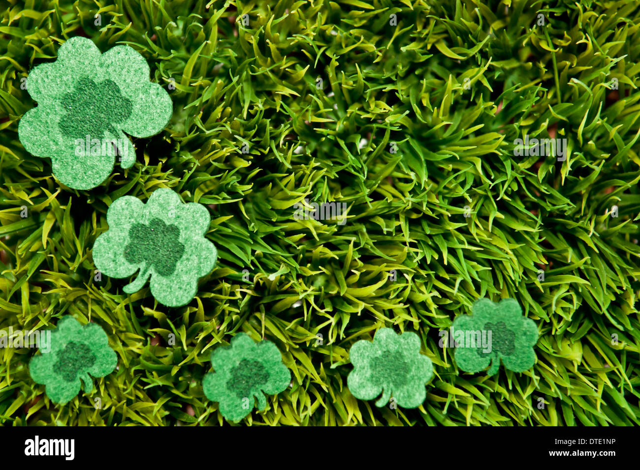 La festa di san Patrizio Shamrock Foto Stock