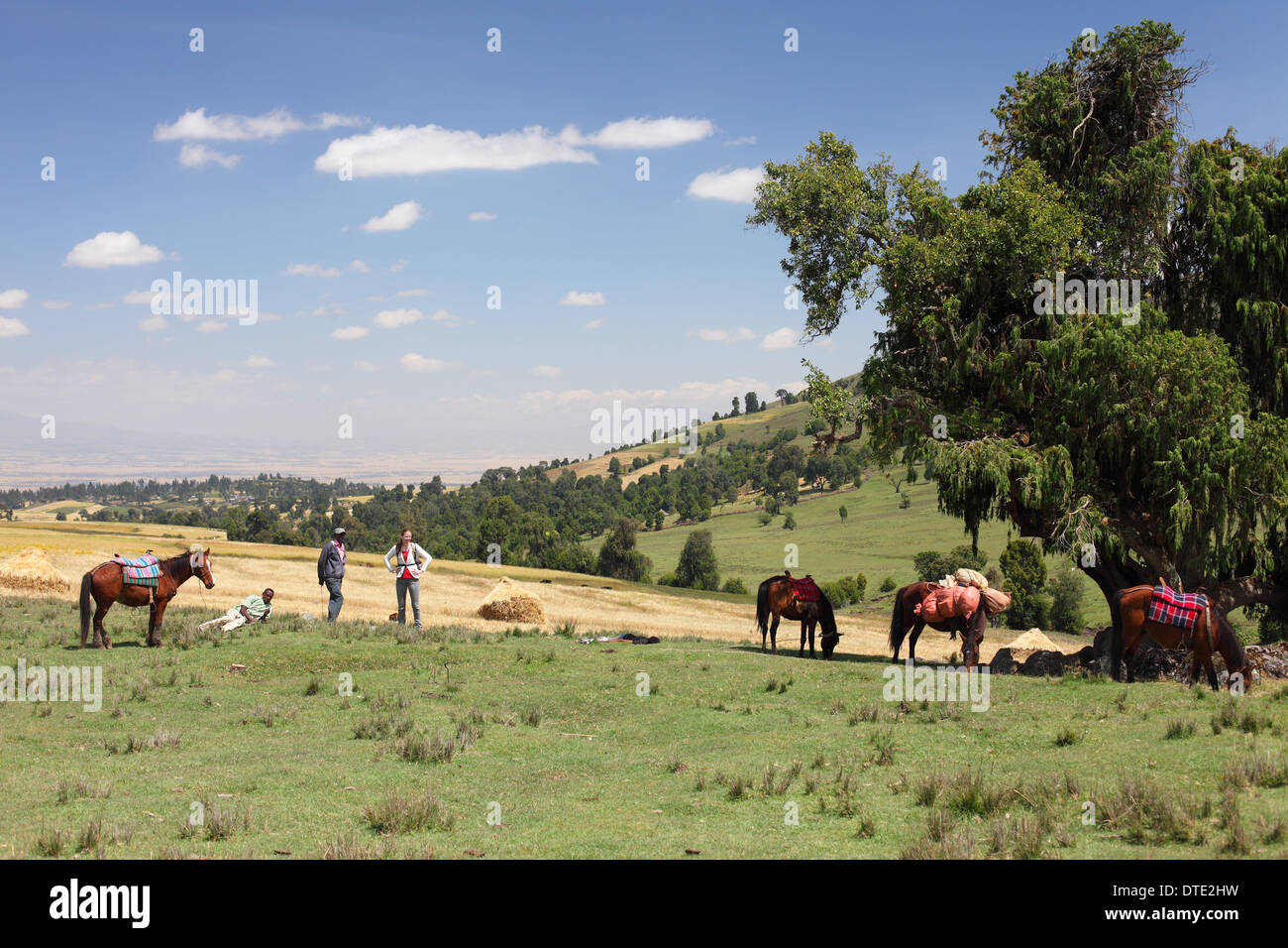 Etiopia, Africa, Dodola, montagne di balle, equitazione, cavalli Foto Stock