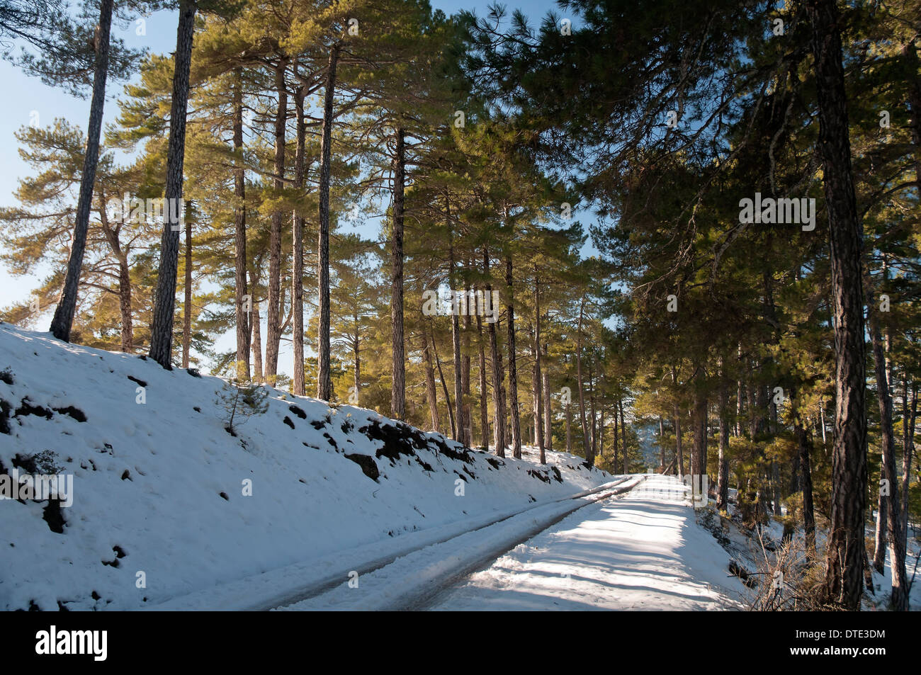 Paesaggio nevicato, Parco Naturale Sierras de Cazorla Segura y Las Villas, Jaen-provincia, regione dell'Andalusia, Spagna, Europa Foto Stock