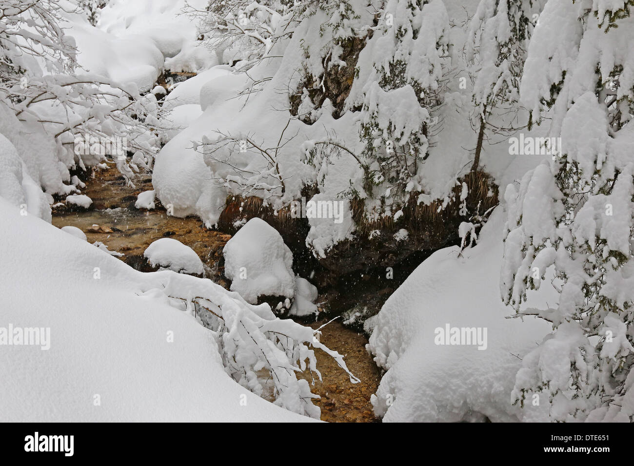 Torrente alpino in stagione invernale, neve. La valle di Funes. Le Dolomiti. Trentino-Alto Adige. Alpi Italiane. Europa. Foto Stock