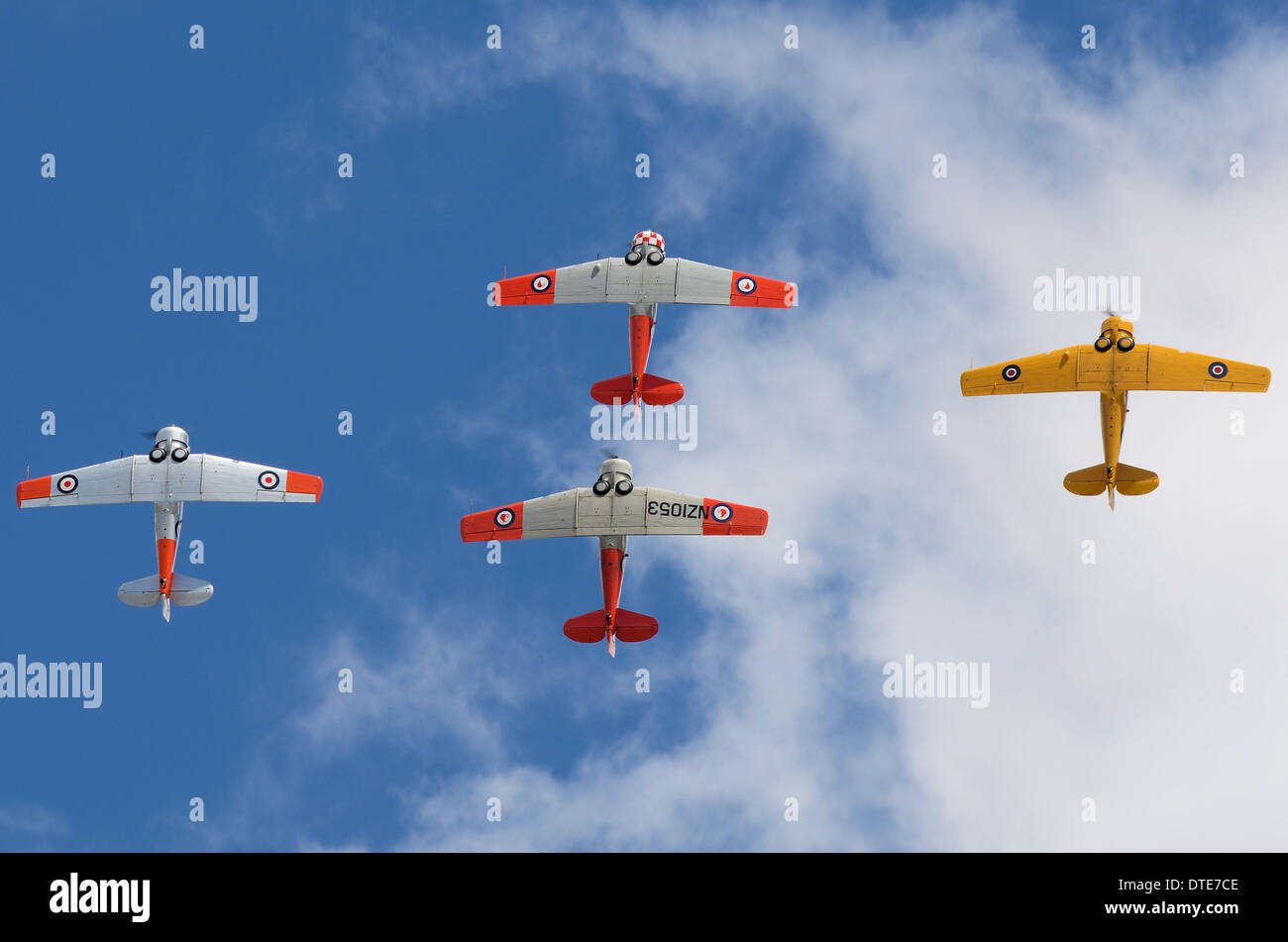 La squadra di formazione Roaring 40s della nuova Zelanda, volando North American T-6 Texans / Harvards. Arrampicarsi su un anello Foto Stock