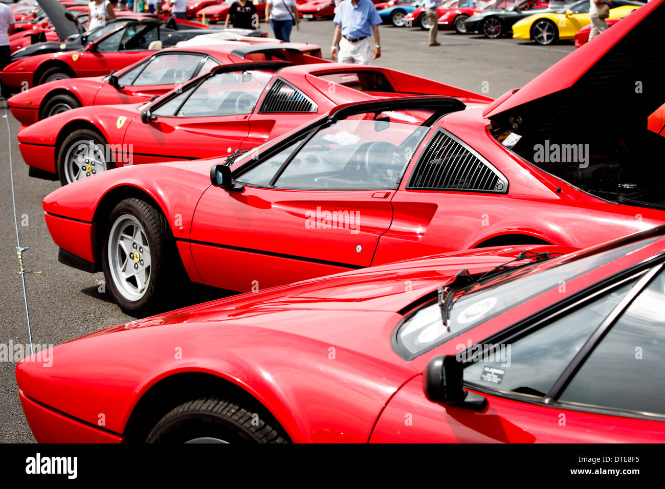 Line up della red Ferraris ata motor sport evento NEL REGNO UNITO Foto Stock