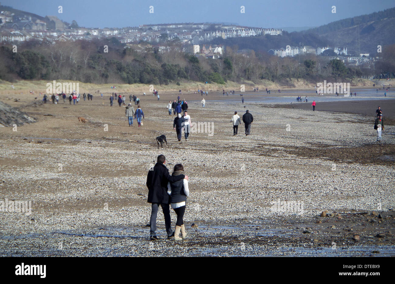 Baia di Swansea, Regno Unito. 16 feb 2014. Crwods di persone a passeggiare sulla spiaggia di Swansea questo pomeriggio facendo la maggior parte del bel tempo. Credito: Phil Rees/Alamy Live News Foto Stock