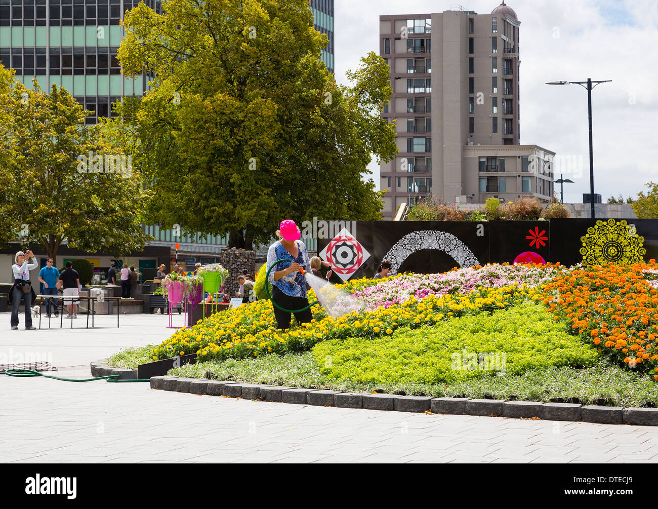 Febbraio 2014. Una femmina di irrigazione giardiniere i fiori in mostra in Piazza Duomo, Christchurch città, Isola del Sud, Nuova Zelanda Foto Stock