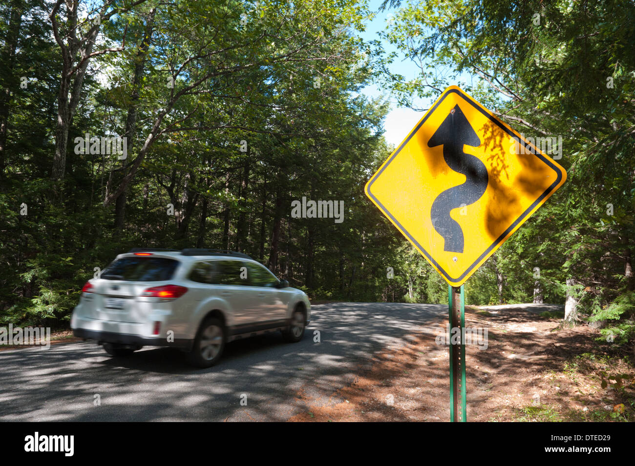 Strada tortuosa segno di traffico su una strada forestale. Foto Stock