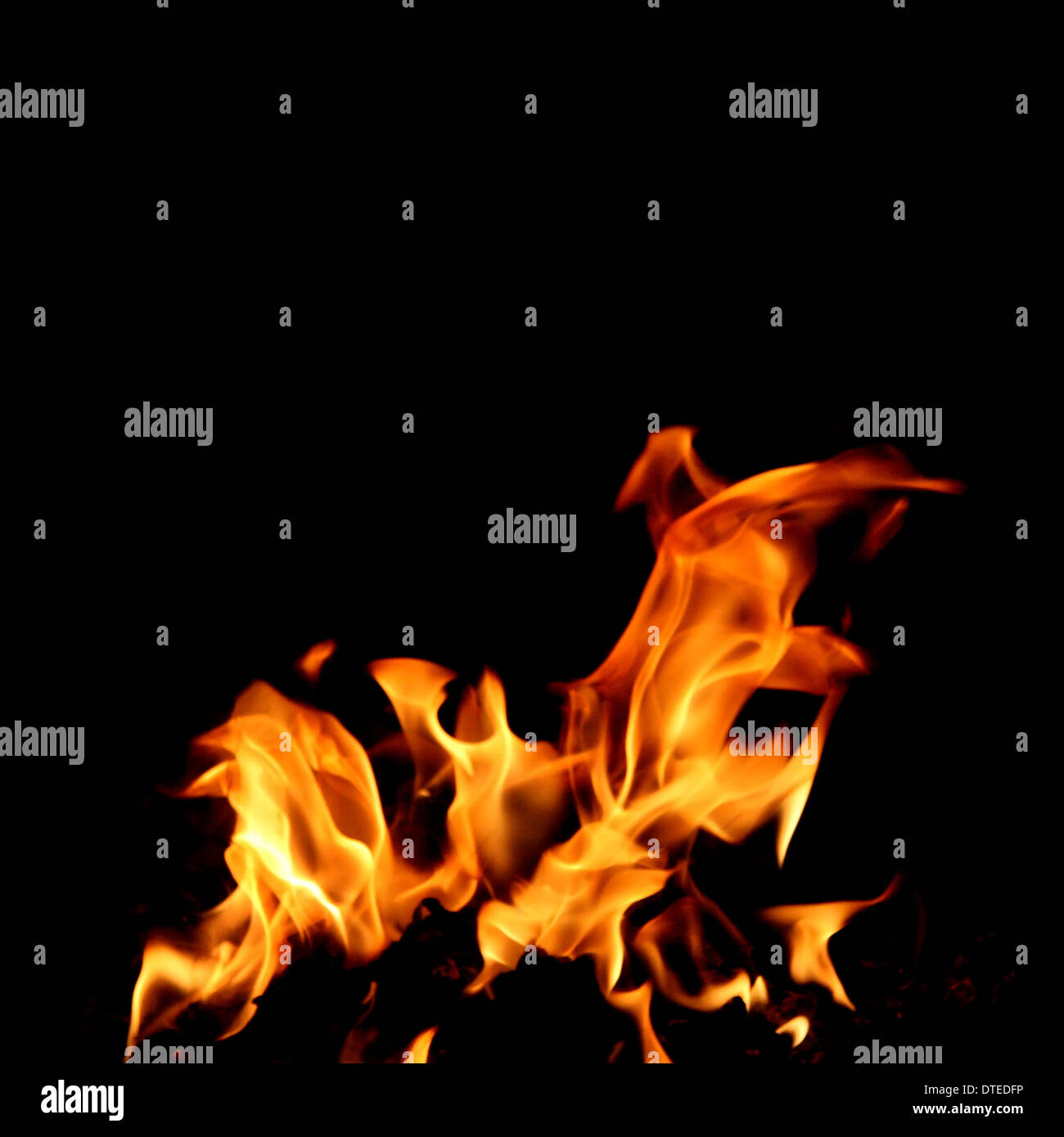 Fuoco e fiamme su sfondo nero Foto Stock