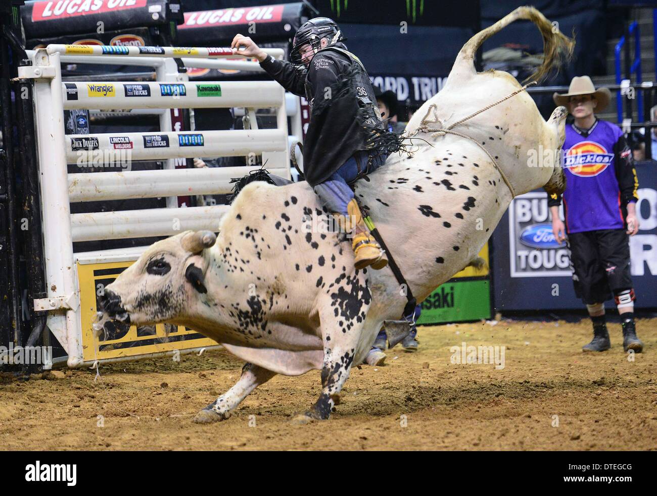 Louis, Missouri negli Stati Uniti d'America. 16 feb 2014. Febbraio 16, 2014: Austin Meier su bull Johnny Walker Black Jr. durante il terzo round della Professional Bullriders costruito Ford serie difficili St. Louis Invitational a Scott Trade Center a St. Louis. Credito: csm/Alamy Live News Foto Stock