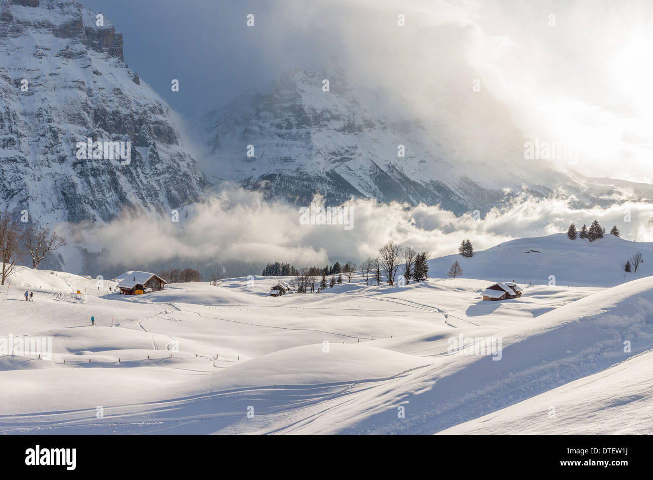 Misty valle alpina in inverno Foto Stock