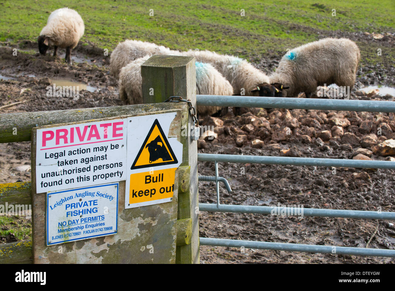 Terra privata cartelli di avvertimento su una recinzione in Leighton, Shropshire, Inghilterra Foto Stock