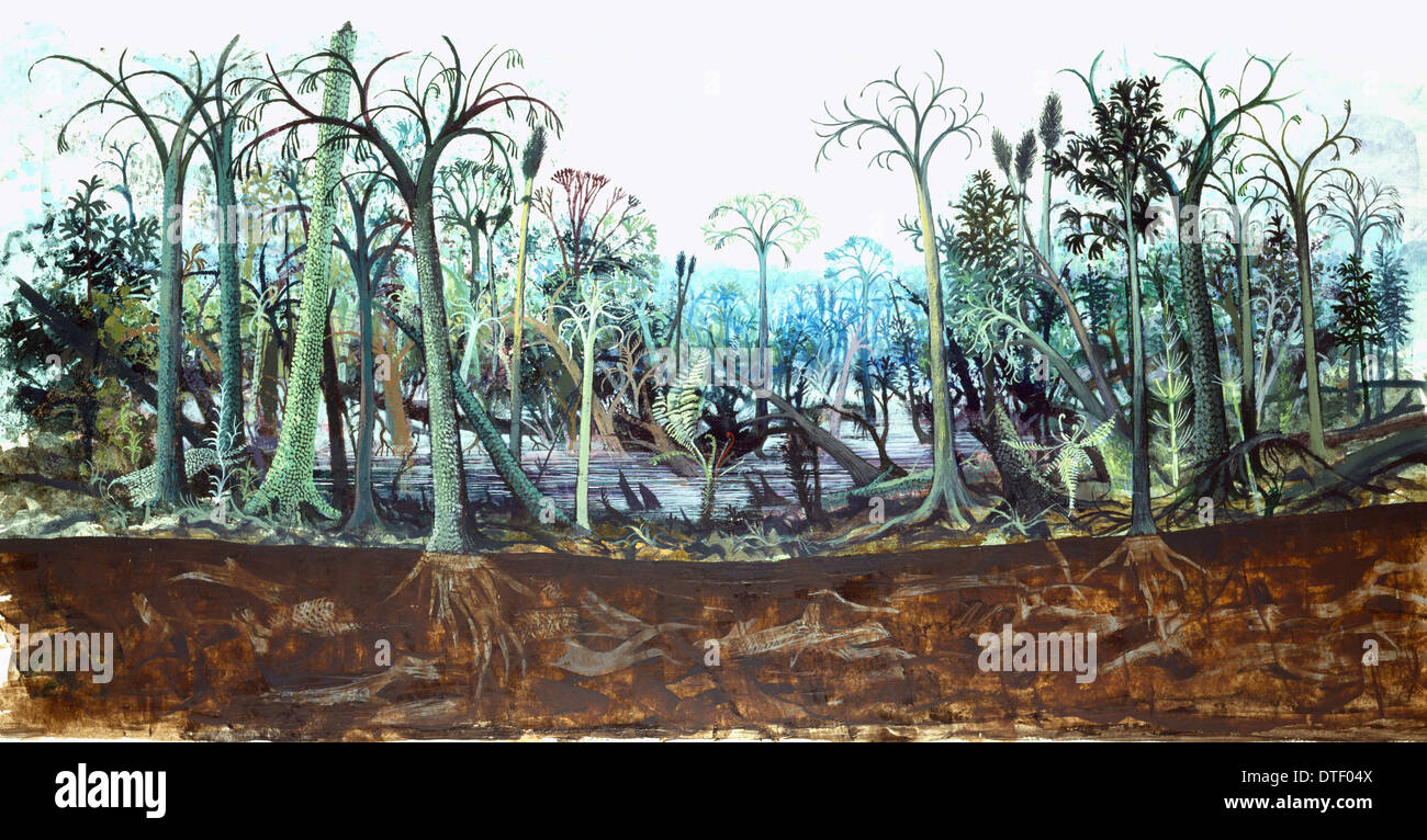 Carbonifero foresta di carbone Foto Stock