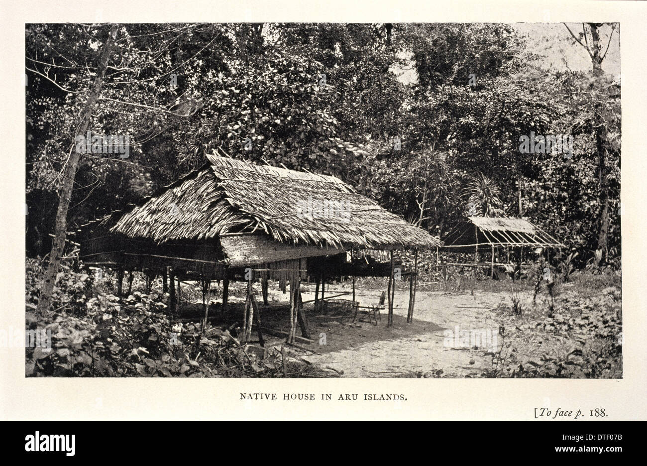 Casa nativa in Aru Foto Stock