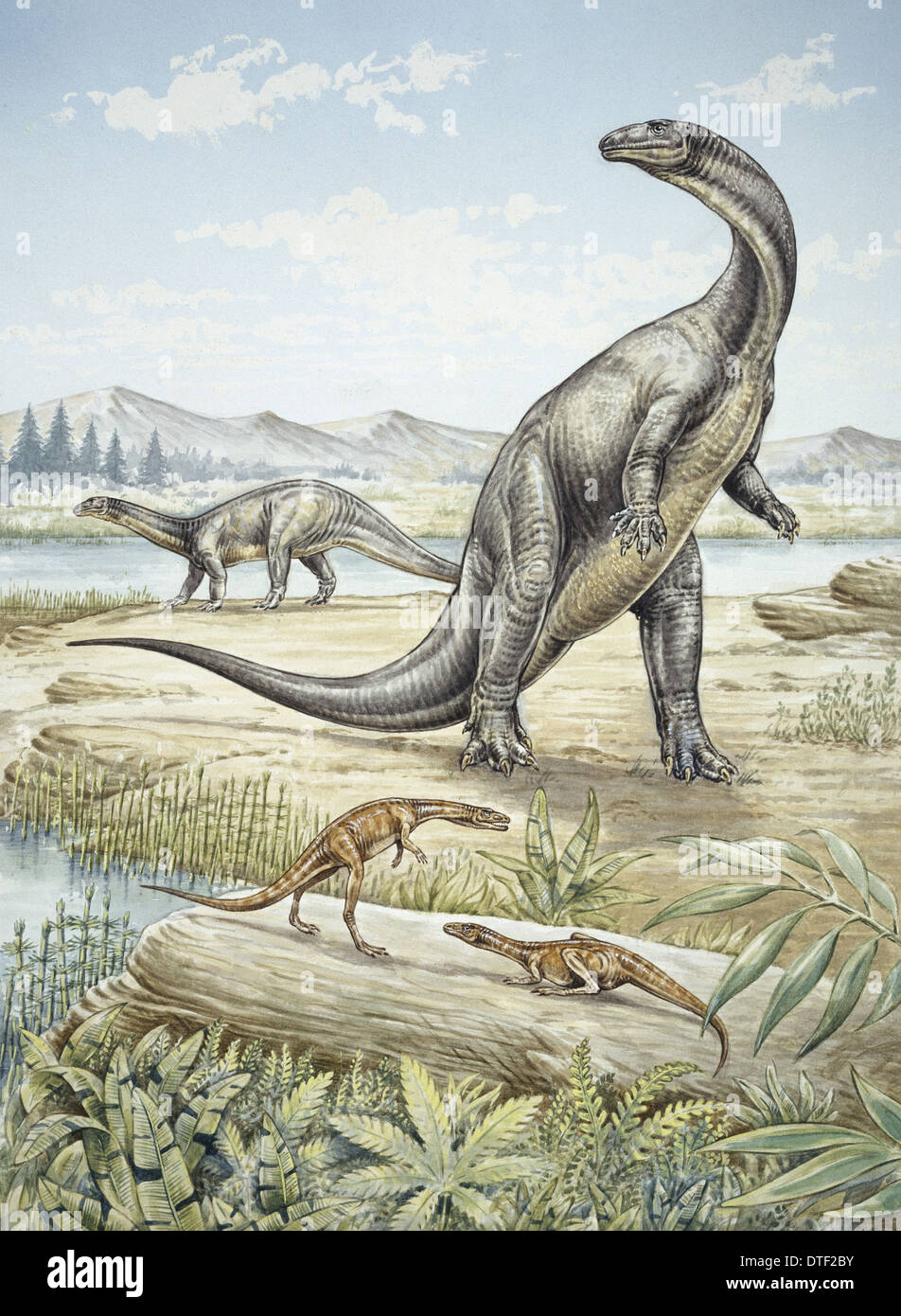 Triassico superiore dinosauri scoperto nella Germania meridionale Foto Stock