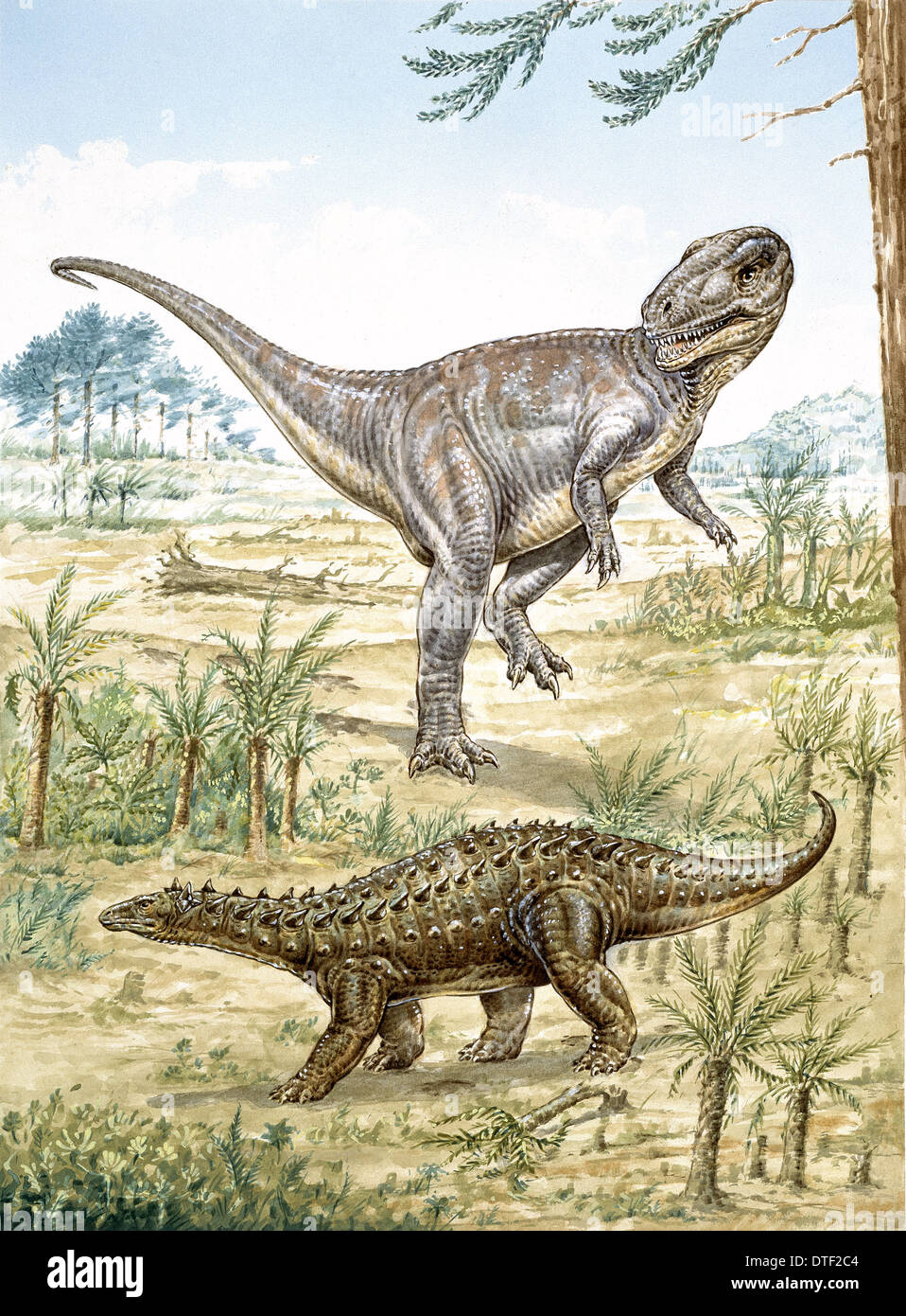 Abbassare Jurassic dinosauri scoperte in Inghilterra Foto Stock