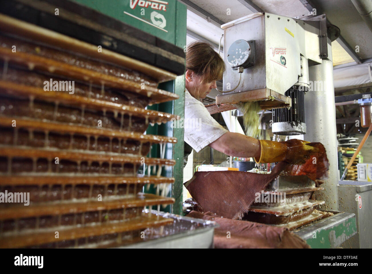 Il Werder, Germania, nel sidro salariale Thierschmann succo fresco è premuto Foto Stock