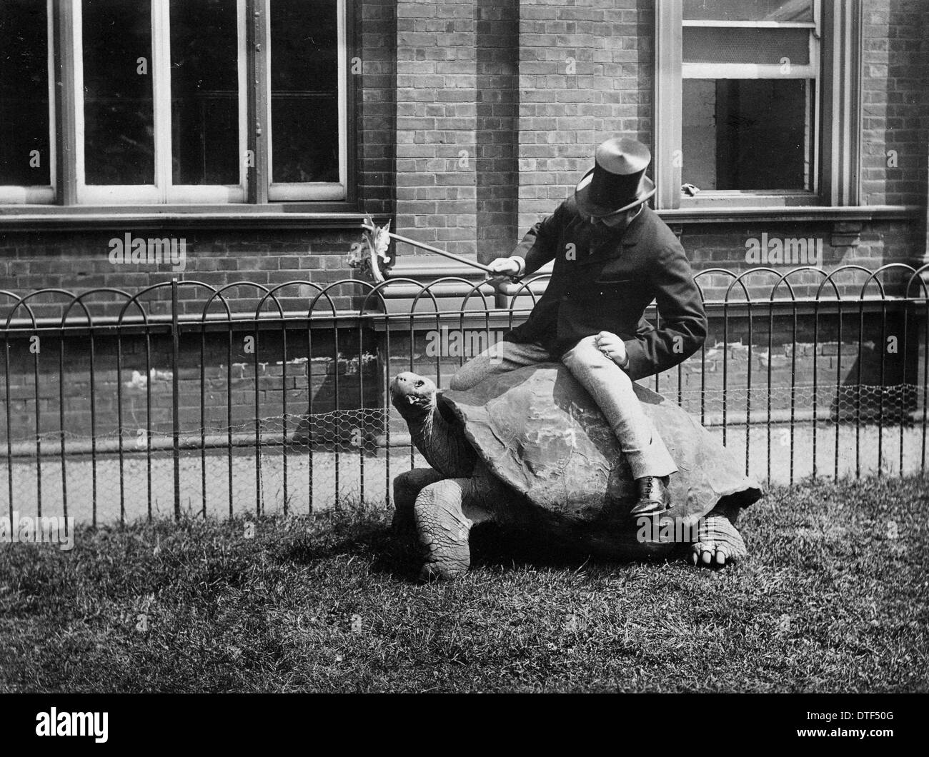 Signore Lionel Walter Rothschild (1868-1937) Foto Stock