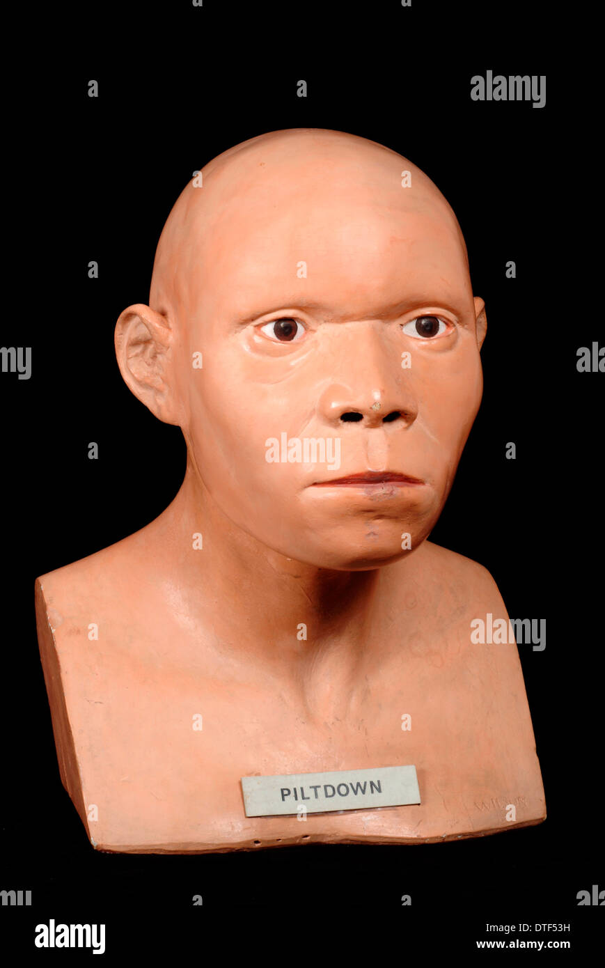 Piltdown Man (modello basato su Piltdown 1 & 2) Foto Stock