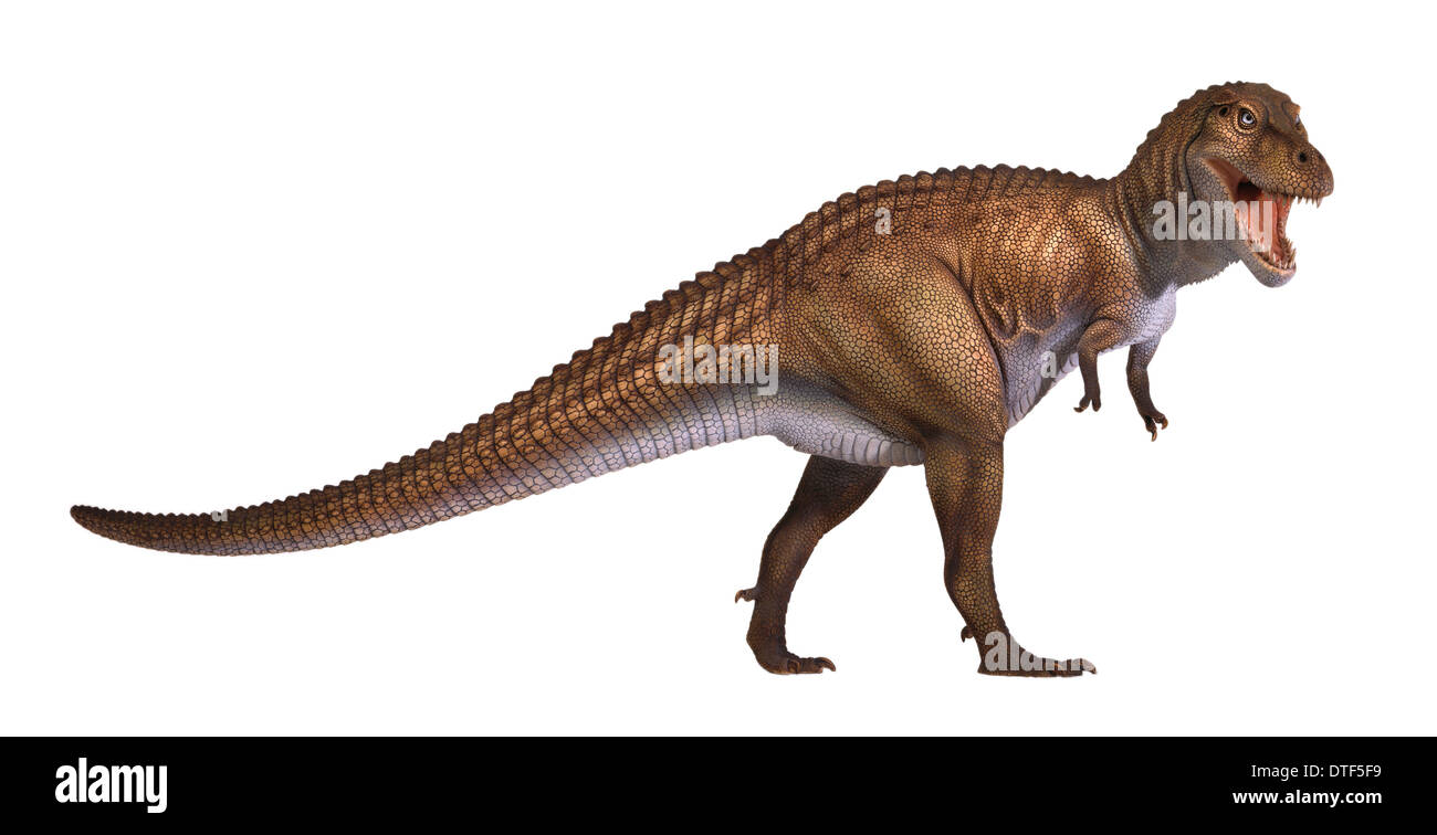 Tyrannosaurus rex Foto Stock