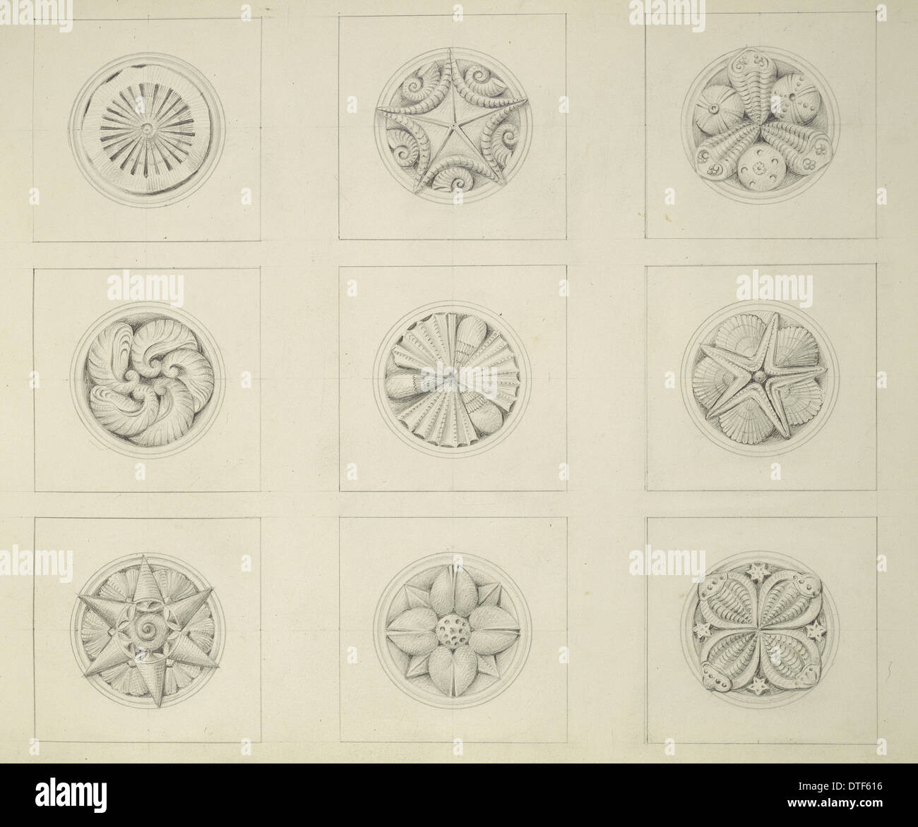 Disegni per il Museo di Storia Naturale, da Alfred Waterhouse (1830-1905) Foto Stock