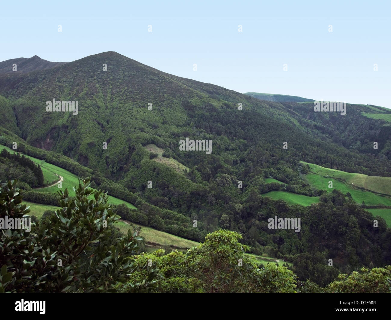 Paesaggio collinare a São Miguel Island, la più grande isola dell'arcipelago delle Azzorre, un gruppo di isole di origine vulcanica Foto Stock