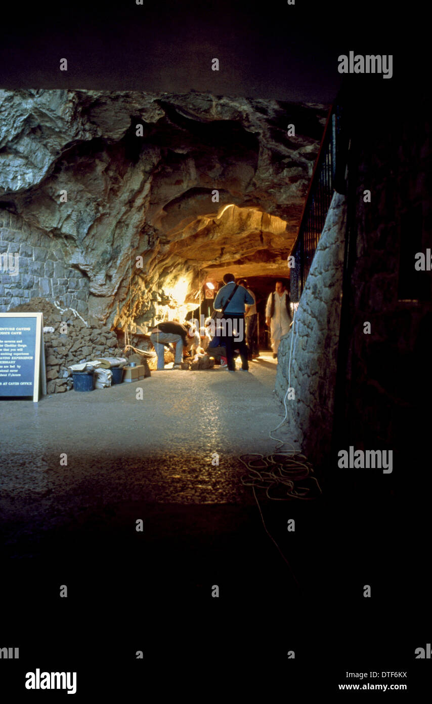 Gough della grotta di sito di scavo Foto Stock