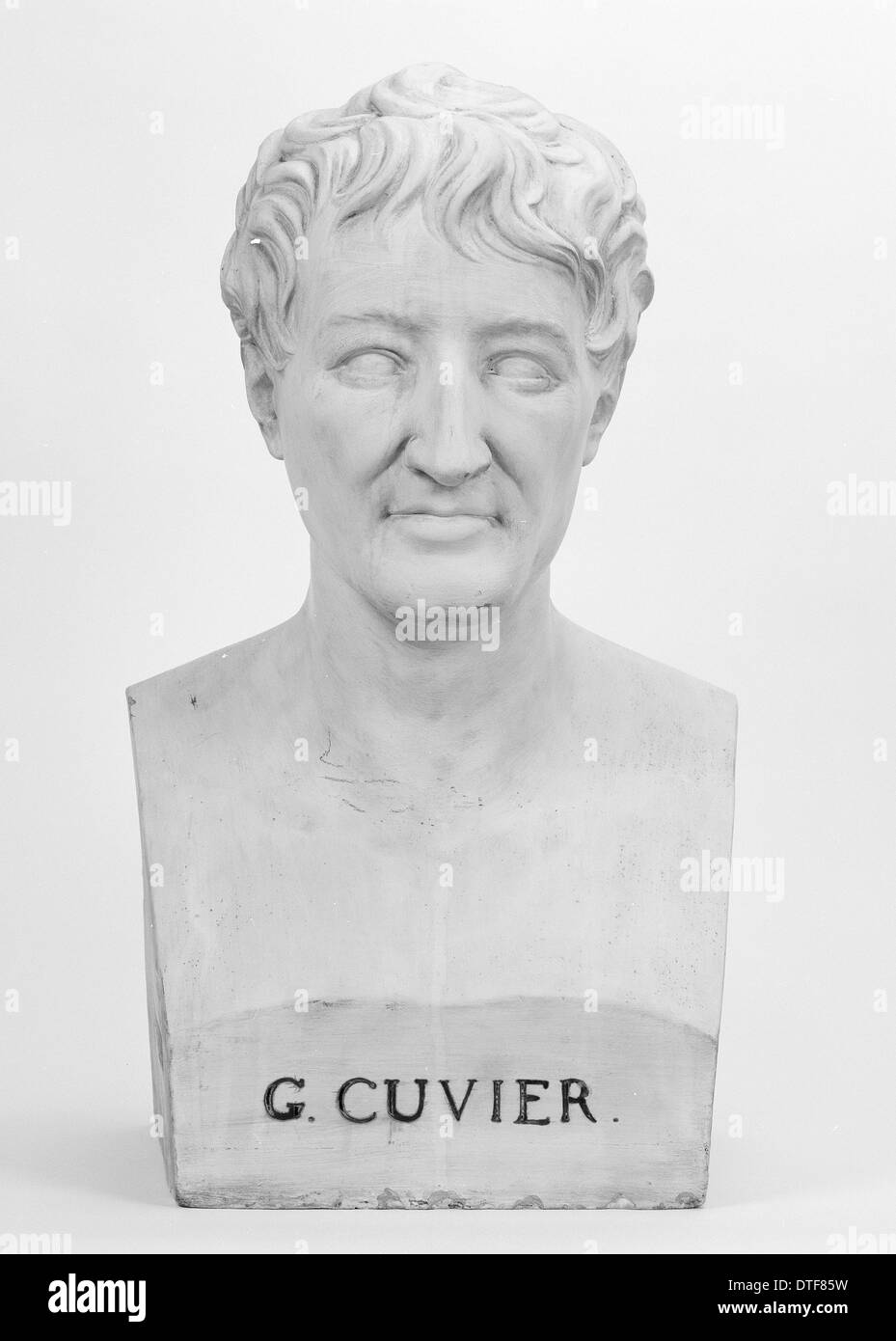 Busto di G. Cuvier Foto Stock