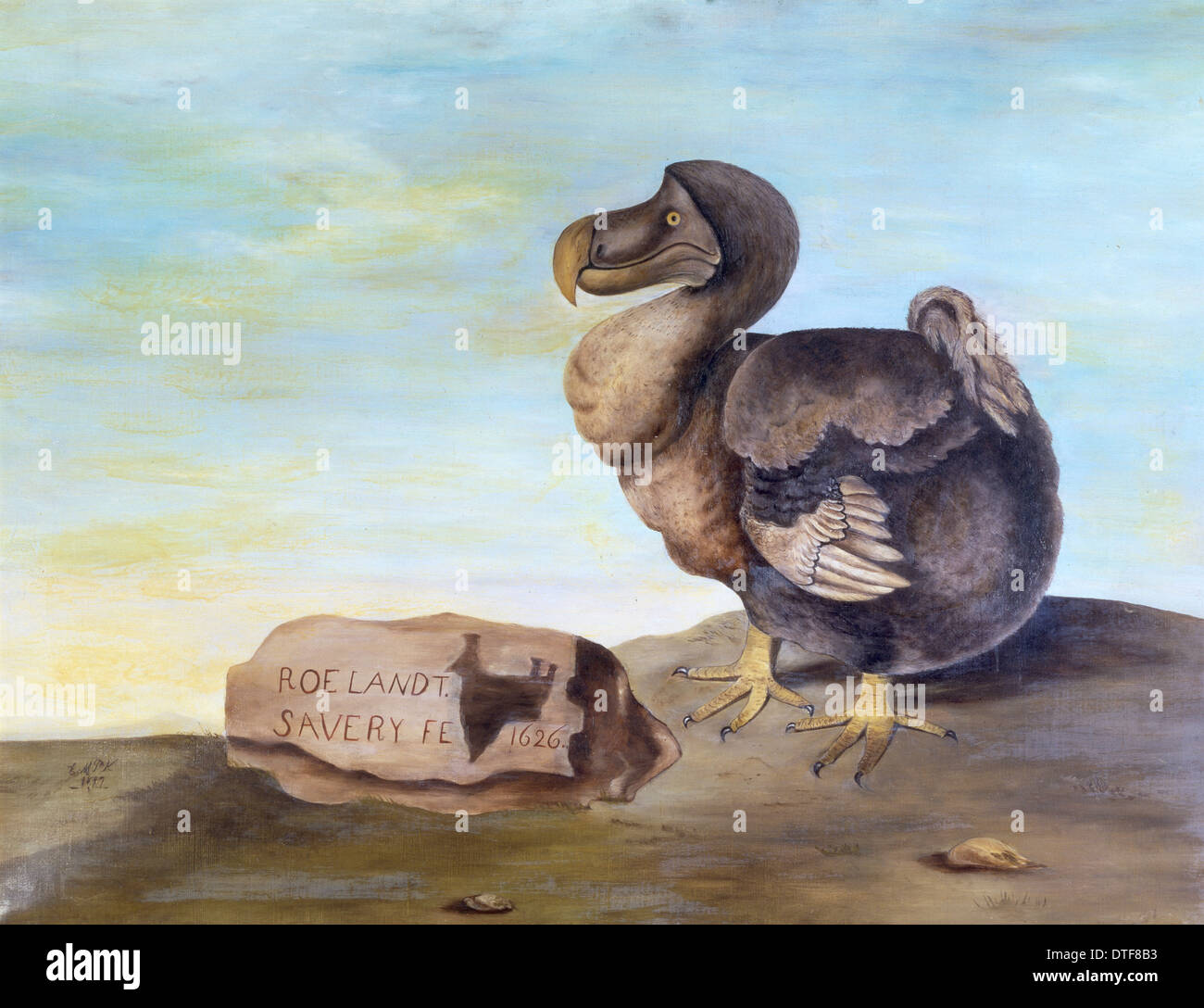 Raphus cucullatus, dodo Foto Stock