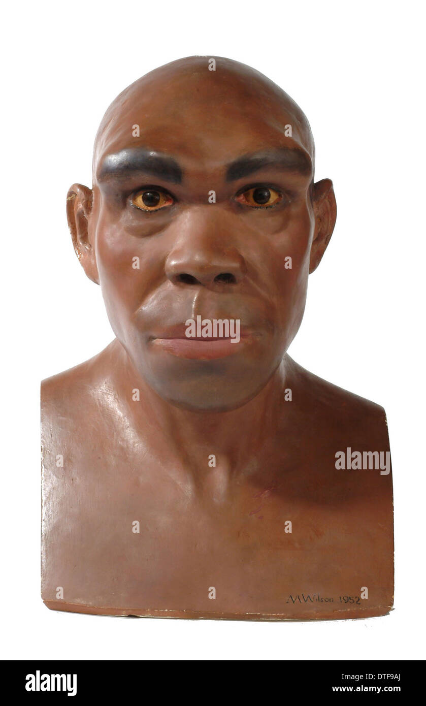 Homo Heidelbergensis, o rhodesiano Broken Hill uomo Foto Stock