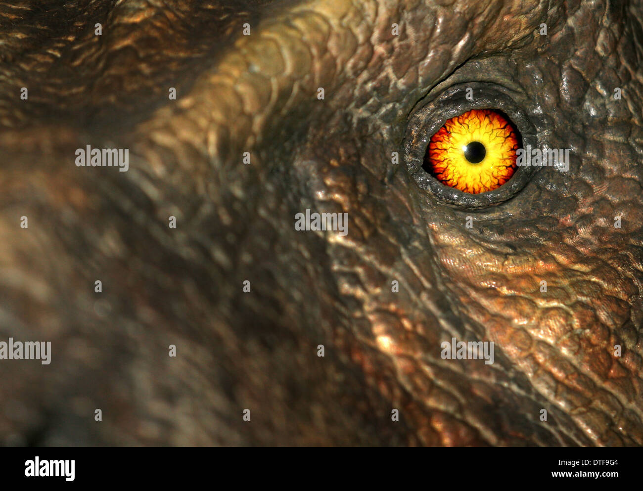 Tyrannosaurus rex Foto Stock