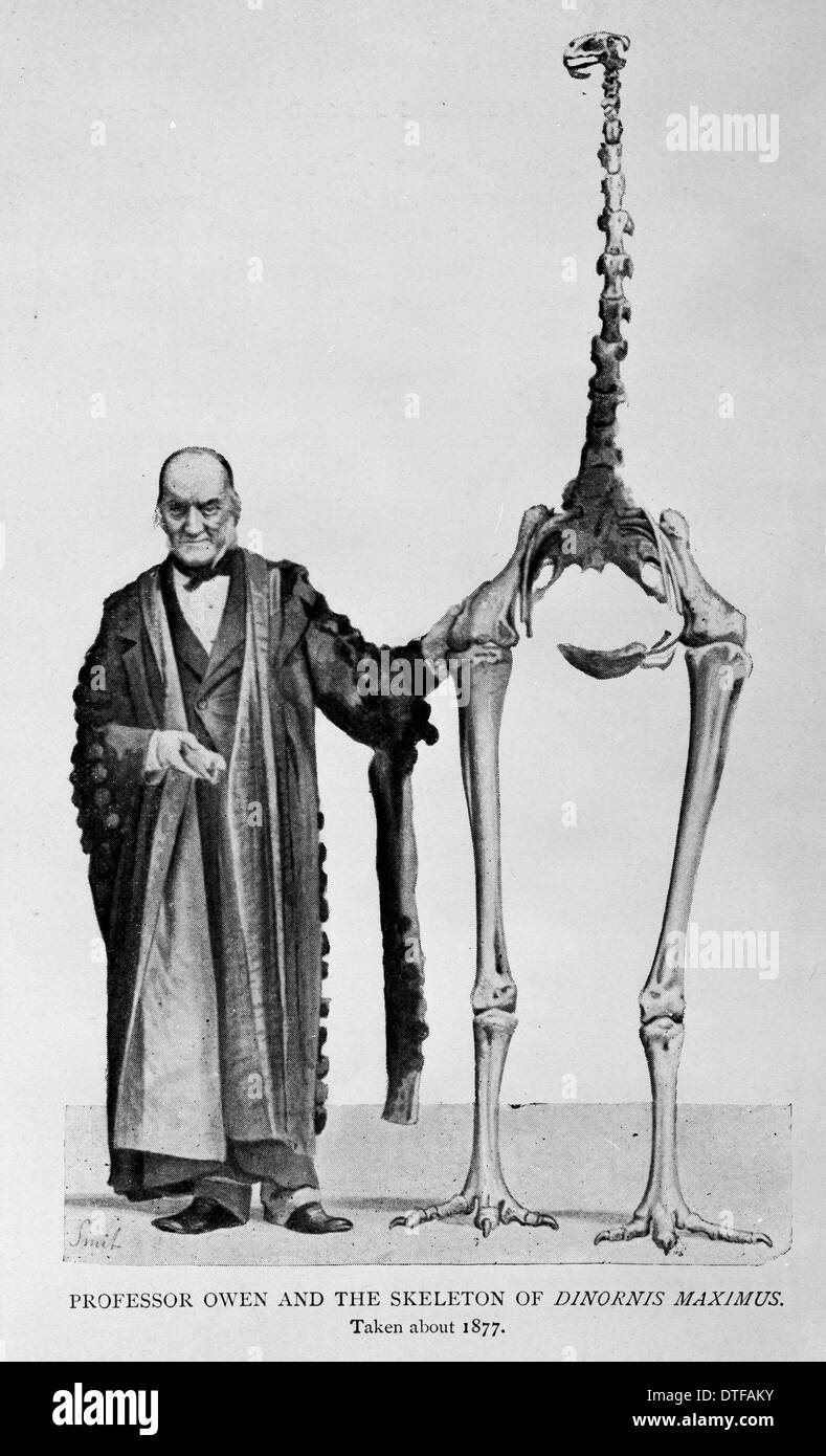 Sir Richard Owen (1804-1892) Foto Stock