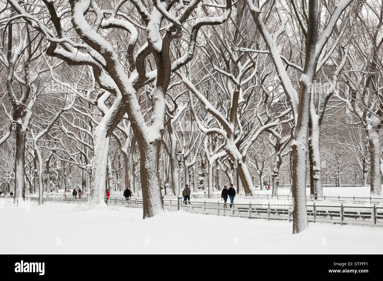 La gente camminare lungo il Mall di Central Park di New York dopo una tempesta di neve Foto Stock