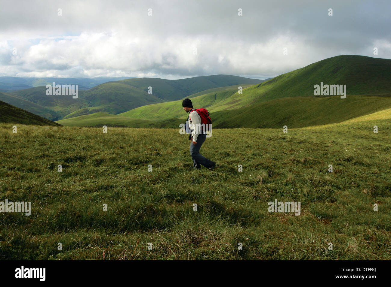 Un attraversamento dello scuotipaglia moorland verso Chapelgill collina con Culter è sceso al di là, South Lanarkshire Foto Stock