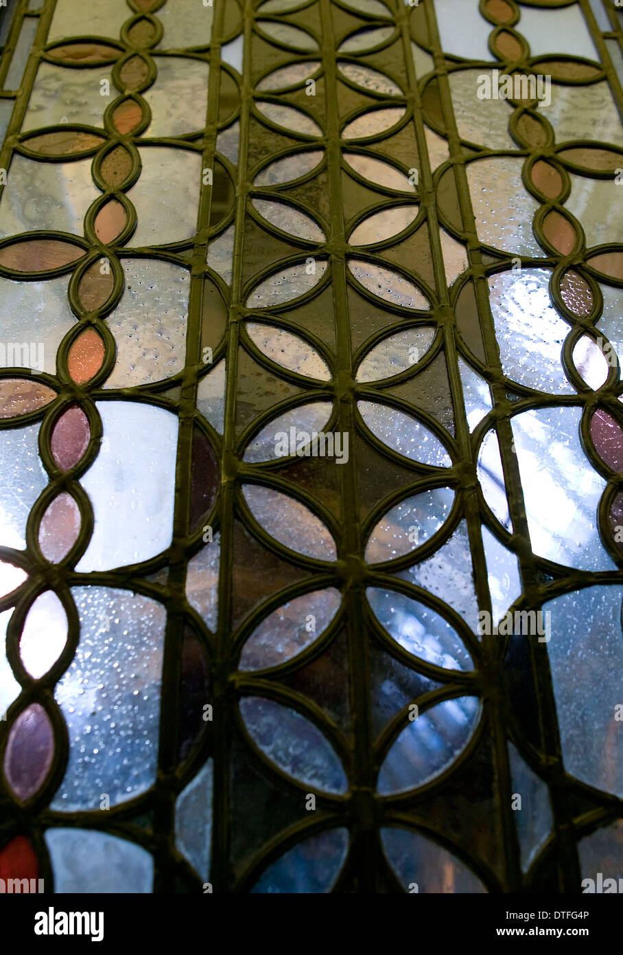 Darwin Galleria tettoia all'estremità nord della Hall centrale Foto Stock