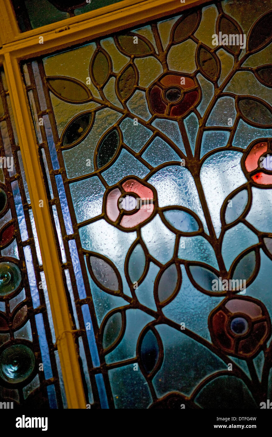 Darwin Galleria tettoia all'estremità nord della Hall centrale Foto Stock