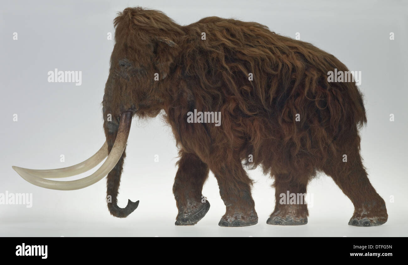 Modello di Ilford Mammoth Foto Stock