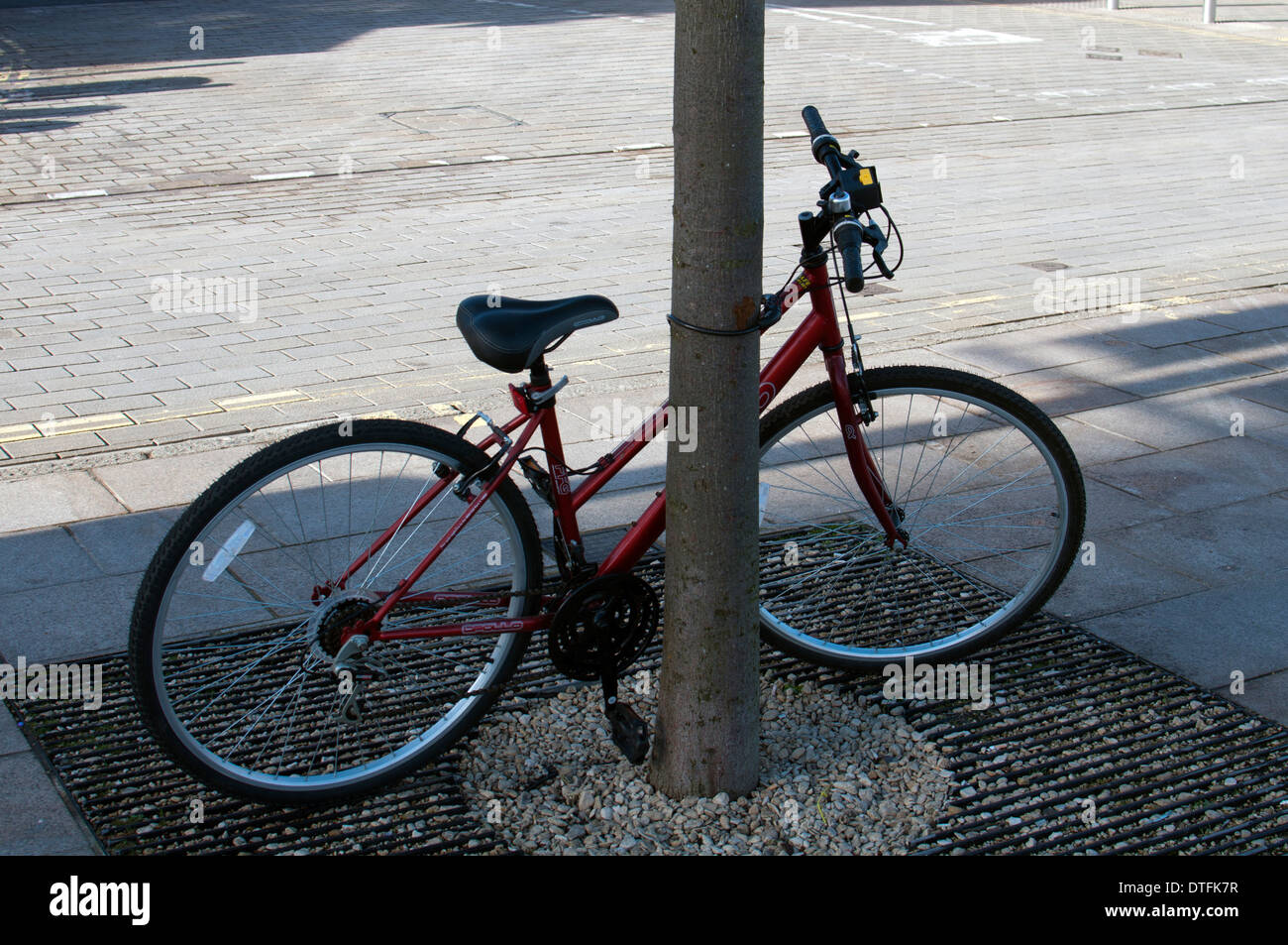 Una bicicletta bloccato a un albero Foto Stock