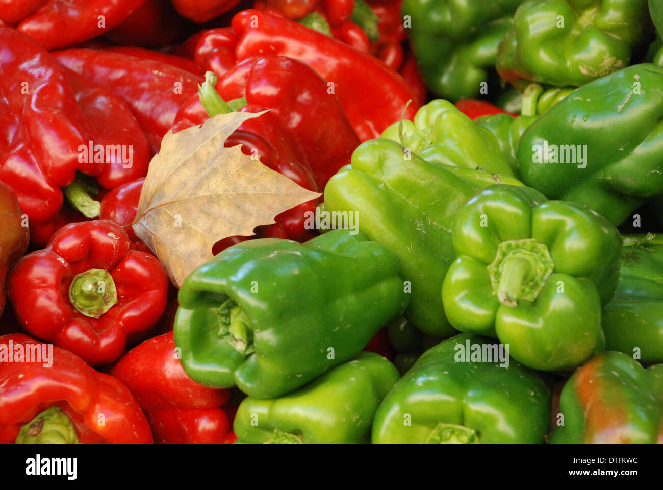 peperoni dolci misti in primo piano con foglie cadute accatastate sul mercato e pronte per la vendita e la luce che cattura il loro colore rosso e verde Foto Stock