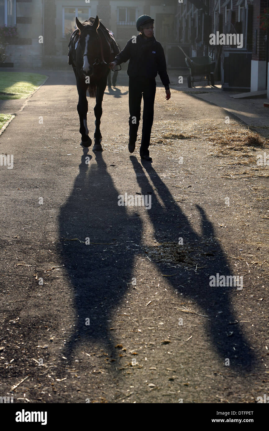 Chantilly, Francia, donna conduce il suo cavallo Foto Stock