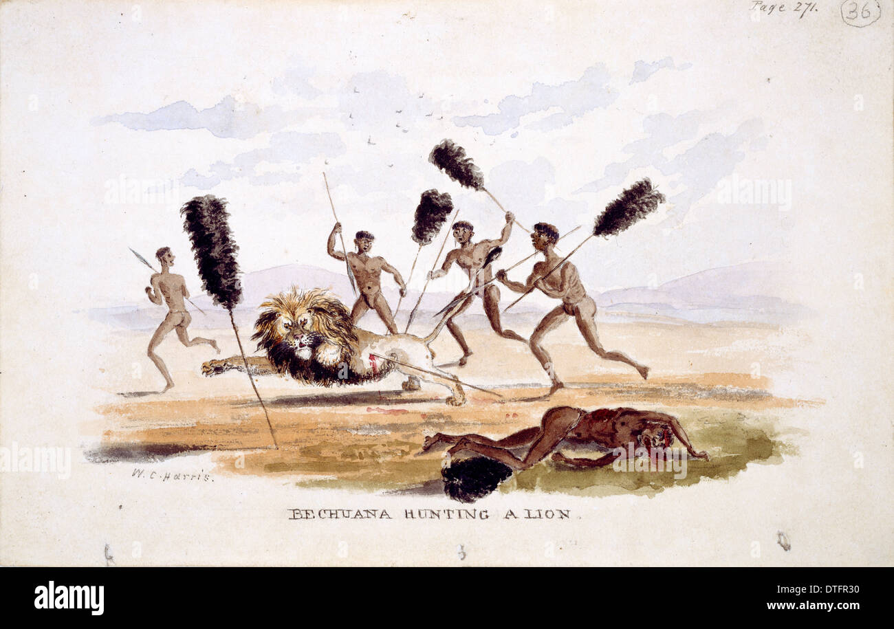 Bechuana caccia un Lion (piastra 35/36) Foto Stock