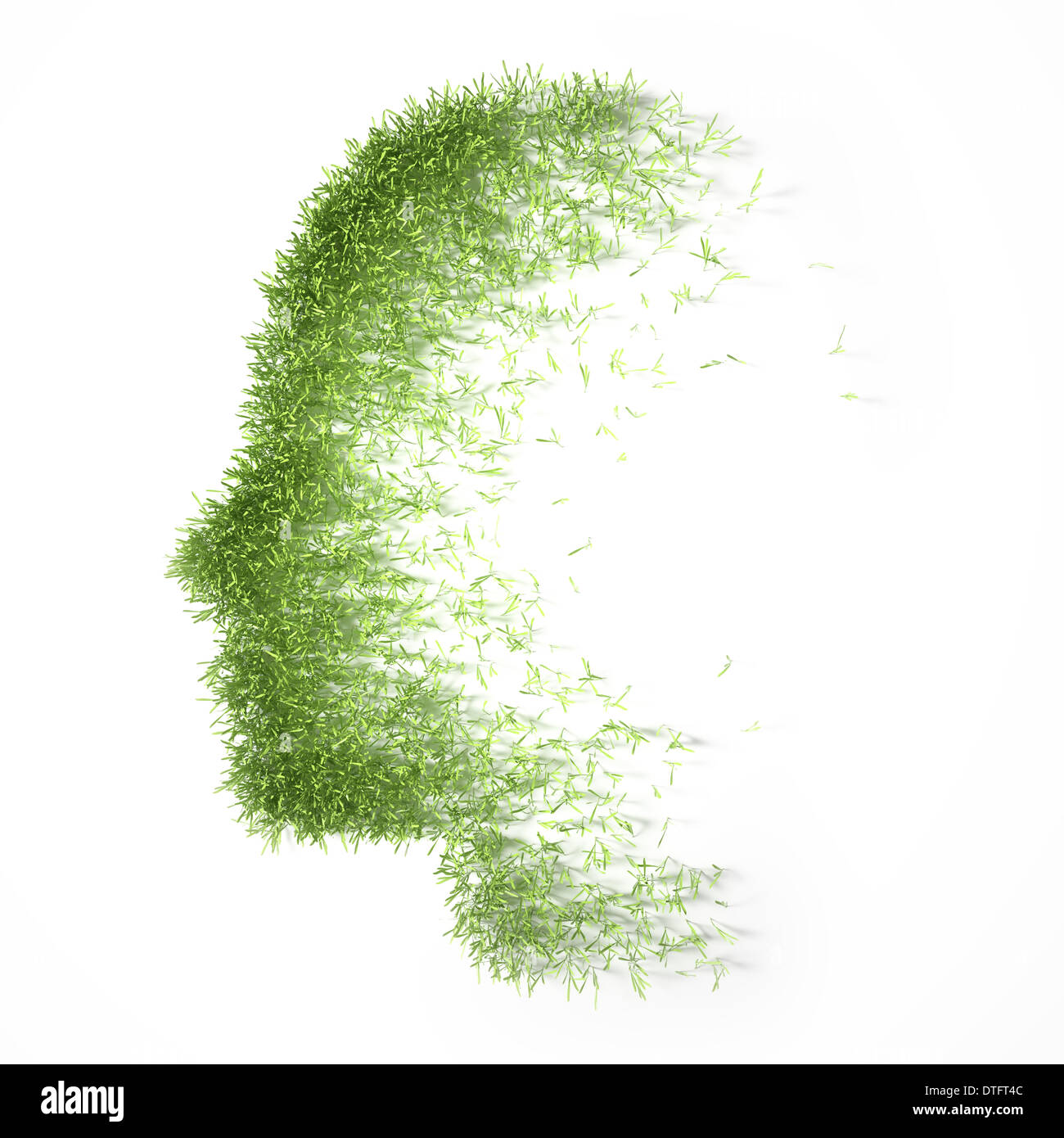 Patch di erba conformata come una faccia Foto Stock