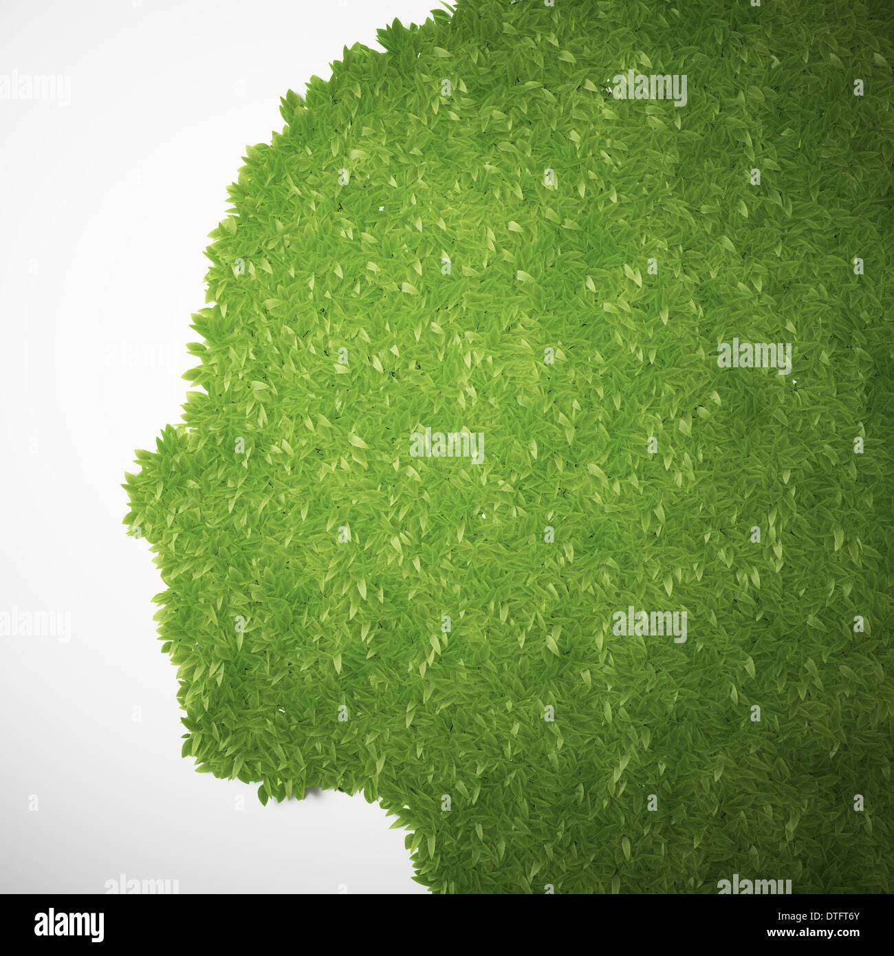 Leafs conformata come un volto umano Foto Stock