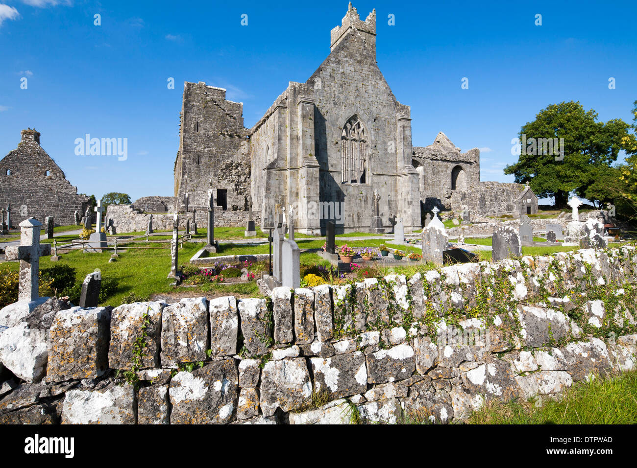 Quin Abbey County Clare Irlanda Foto Stock