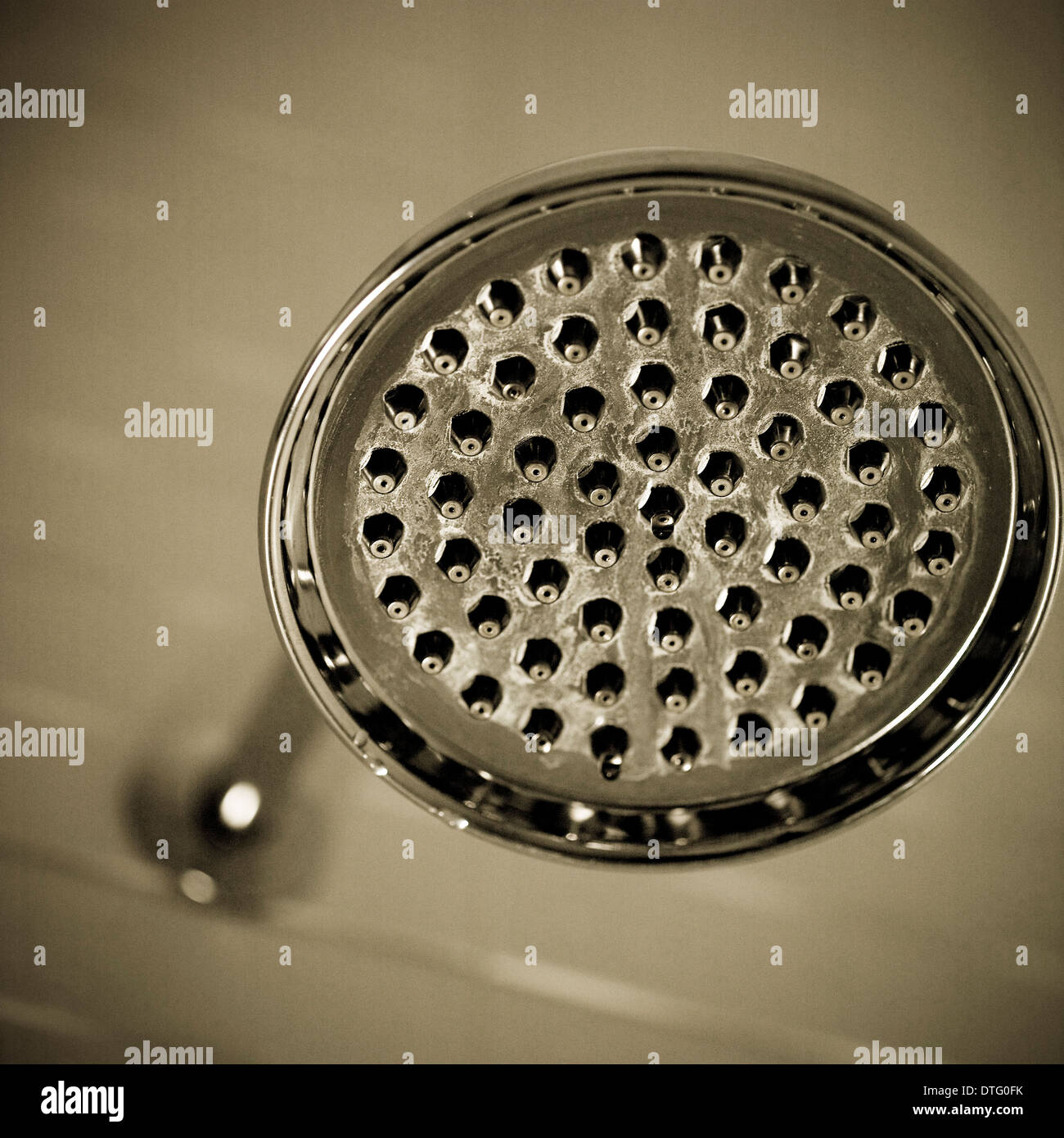 Close up di un argento testa di doccia Foto Stock