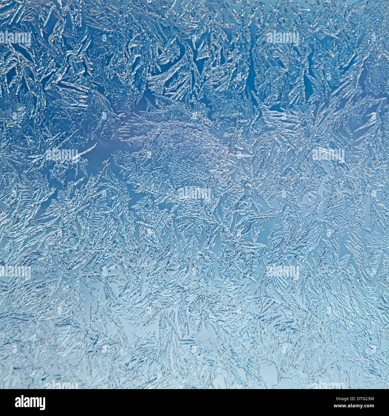 Modello di ghiaccio closeup in colore blu Foto Stock
