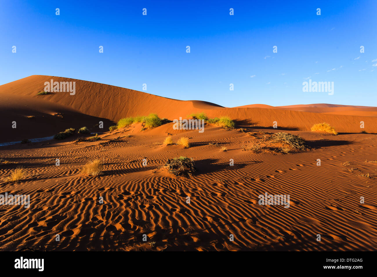 Increspata sabbie battente sul Deserto Namibiano dune evidenziata da sunrise Foto Stock